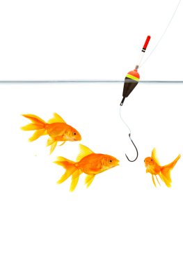 Fishing clipart