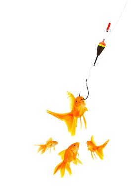 Goldfishes and cat clipart