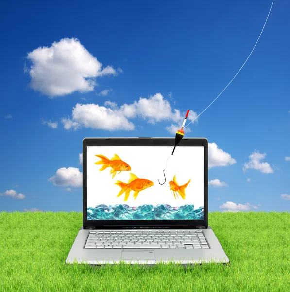Złota rybka w laptopie — Zdjęcie stockowe