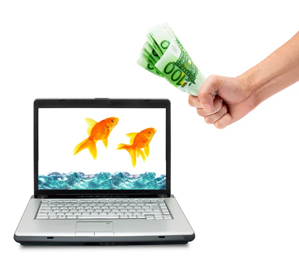 Akvaryum balığı ve para — Stok fotoğraf