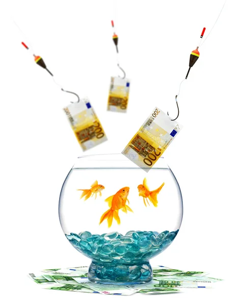 Goldfishes och pengar — Stockfoto