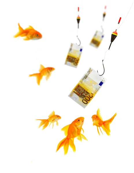 Золотая рыбка и деньги — стоковое фото
