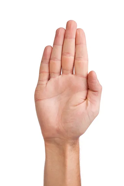 Manliga palm hand gest, isolerad på vit — Stockfoto