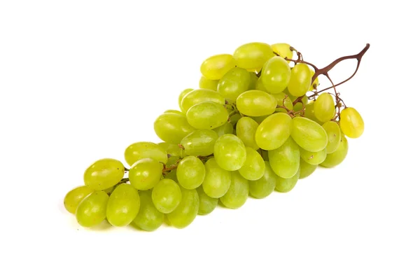 Ramo de uvas verdes que ponen aislado —  Fotos de Stock