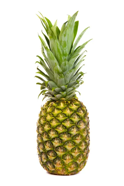 Single pineapple isolated on white — Stock Photo, Image
