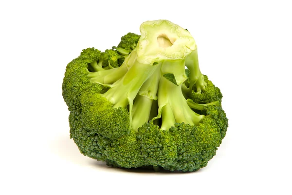 Singola cimette di broccoli isolata su bianco — Foto Stock