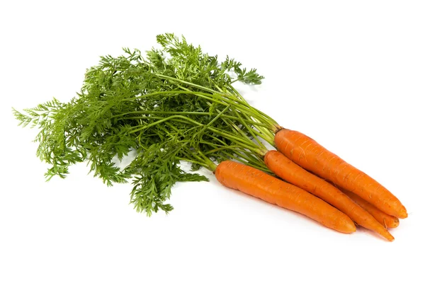 Bunch of fresh carrot isolated on white — Stock Photo, Image