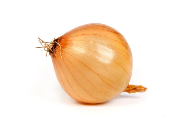 Bir soğan, üzerinde beyaz izole — Stok fotoğraf