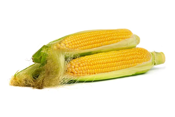 稻壳与玉米的耳朵。在白色隔离. — 图库照片