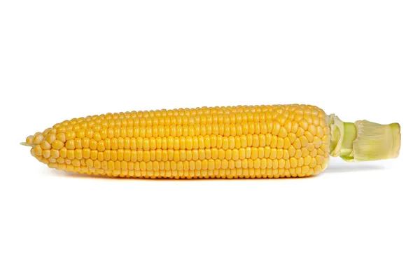 stock image Fresh uncooked corn on the cob