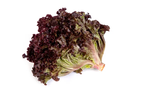 Frischer roter Salat isoliert auf weißem — Stockfoto