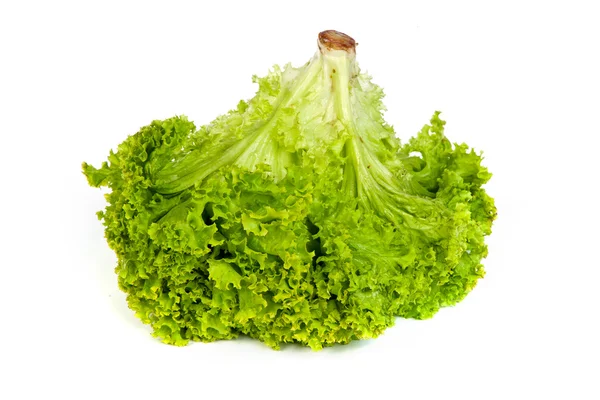 Świeża sałata zielona izolowana na białym — Zdjęcie stockowe