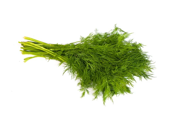 Fresh branches of green dill isolated — Stock Photo, Image