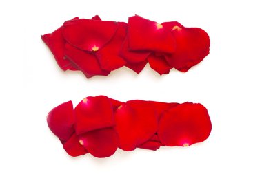 Equals sign made from red petals rose on white clipart