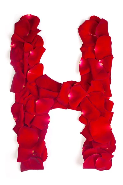 Písmeno h, které jsou vyrobené z červených okvětních lístků růže na bílém pozadí — Stock fotografie