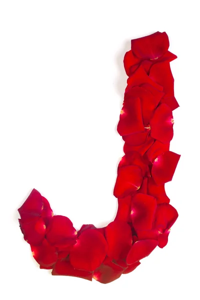 Letter J made from red petals rose on white — Stock Photo, Image