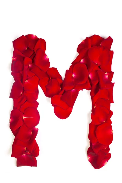 由红色花瓣上白玫瑰制成的字母 m — 图库照片