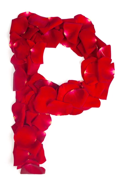 Letter p gemaakt van rode bloemblaadjes op wit roze — Stockfoto