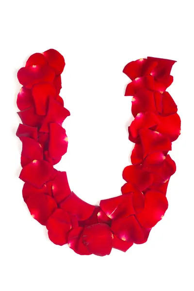 Літера U з червоних пелюсток троянди на білому — стокове фото