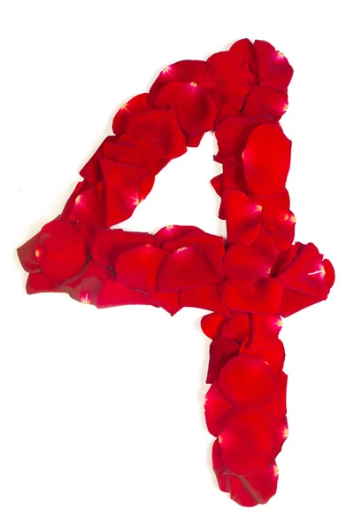 Number 4 made from red petals rose on white — Stock Photo, Image