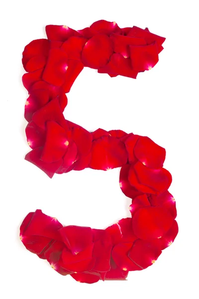 Nummer 5 gemaakt van rode bloemblaadjes steeg op wit — Stockfoto