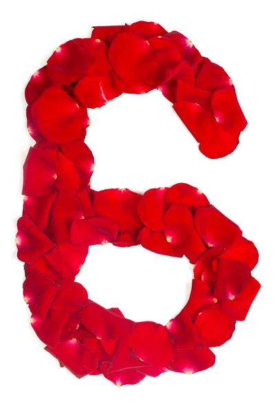 Nummer 6 gemaakt van rode bloemblaadjes steeg op wit — Stockfoto