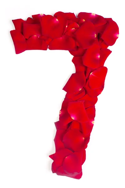 Nummer 7 gemaakt van rode bloemblaadjes steeg op wit — Stockfoto