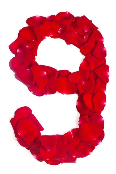 Číslo 9 z červených okvětních lístků růže na bílém — Stock fotografie