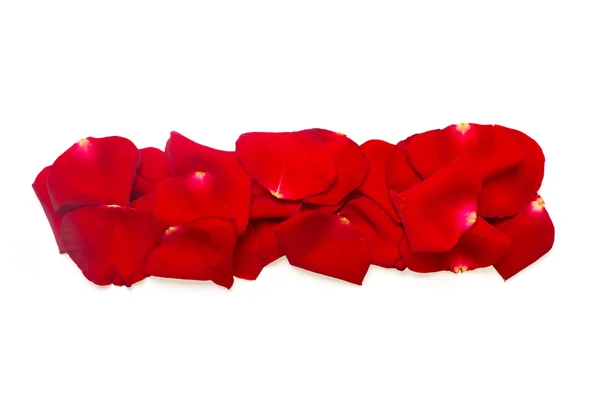 Znak interpunkcyjny, wykonane z czerwone płatki róż na białym — Zdjęcie stockowe