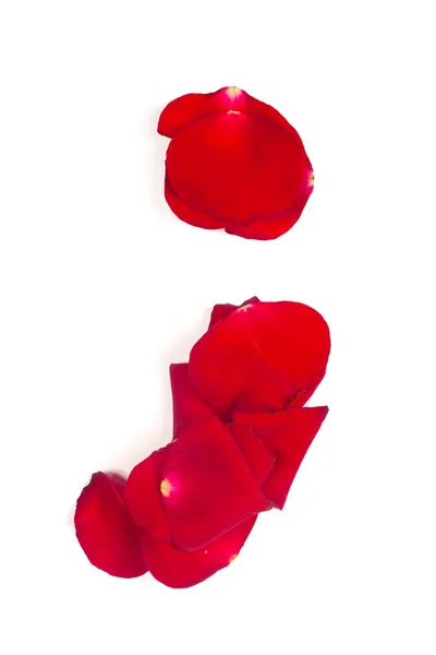Satzzeichen aus roten Blütenblättern stieg auf weiß — Stockfoto