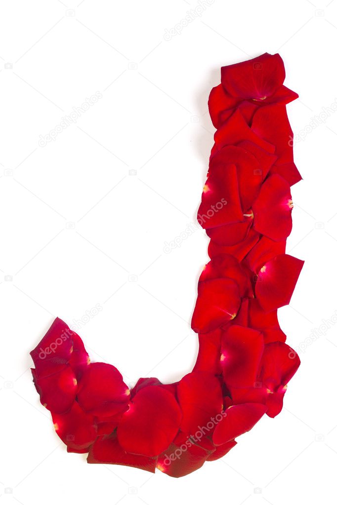 Letter J made from red petals rose on white