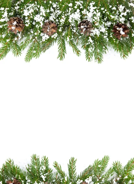 Jul ram med snö och kottar — Stockfoto