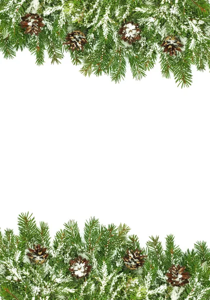 Різдвяна рамка зі снігом і шишками — стокове фото