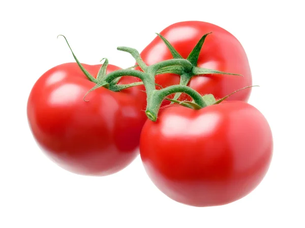 Drei Tomaten isoliert auf weißem Hintergrund. — Stockfoto