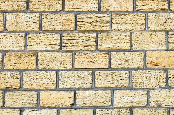 Shell kalksteen muur textuur achtergrond. — Stockfoto