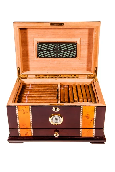 Zigarren im Humidor — Stockfoto