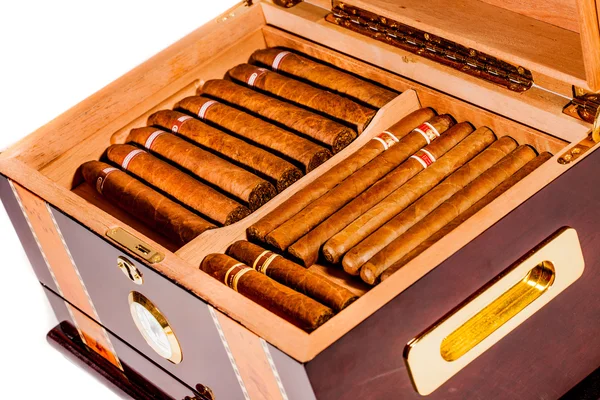 Cigarrer i humidor — Stockfoto