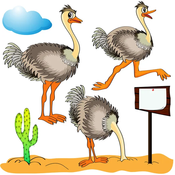 Ostrich corre, copre testa sabbia e costi (stand) s sullo sfondo c — Vettoriale Stock