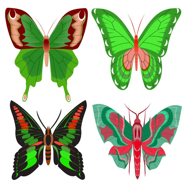 Set hermosa mariposa sobre fondo blanco — Archivo Imágenes Vectoriales