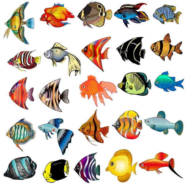 school of tropical fish drawing