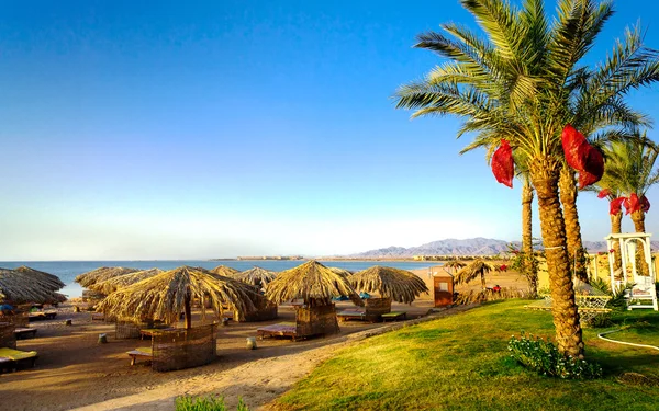 Mısır'da iyi plaj. — Stok fotoğraf