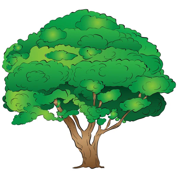 Старое дерево — стоковый вектор