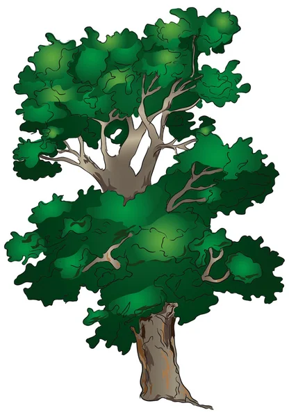 Tjocka träd — Stock vektor
