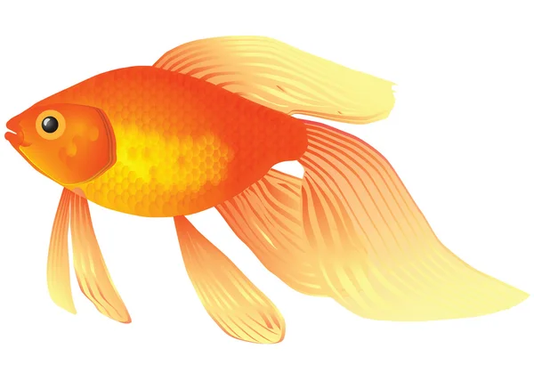 Acuario de peces dorados — Vector de stock