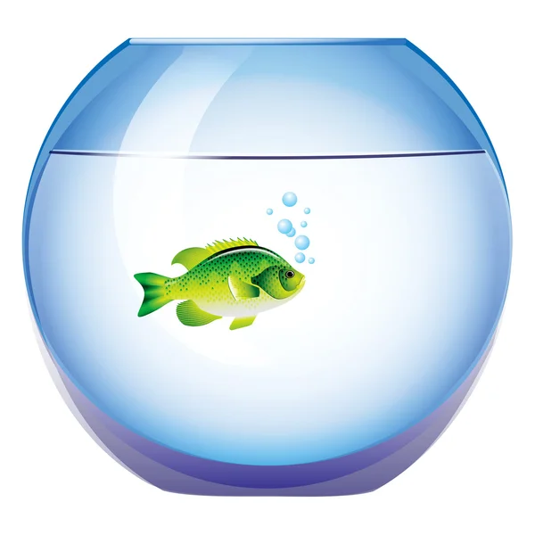 Aquarium avec poissons — Image vectorielle
