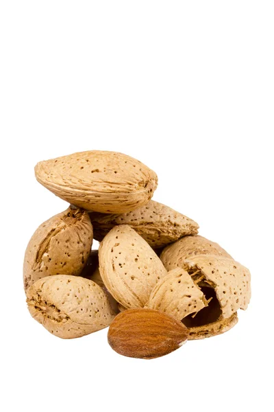 Amandel noten — Stockfoto