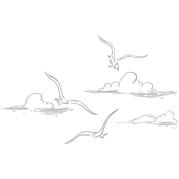 Möwen und Wolken — Stockvektor