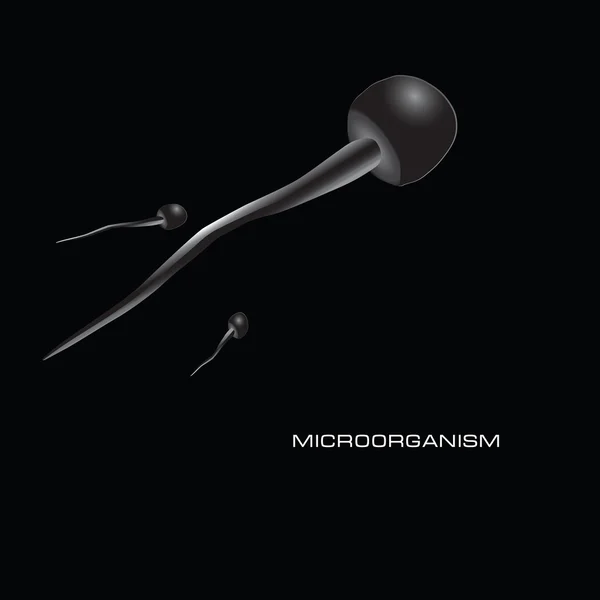 Microorganismos — Vector de stock