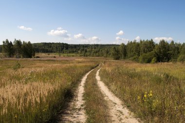 Country road in the field clipart