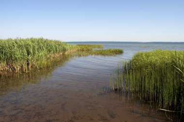 Shore of lake Pleshcheyevo, Russia clipart